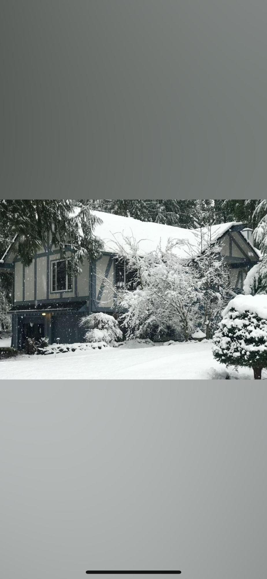 Cozy Bird House W Big Screen! Mount Hood Village エクステリア 写真